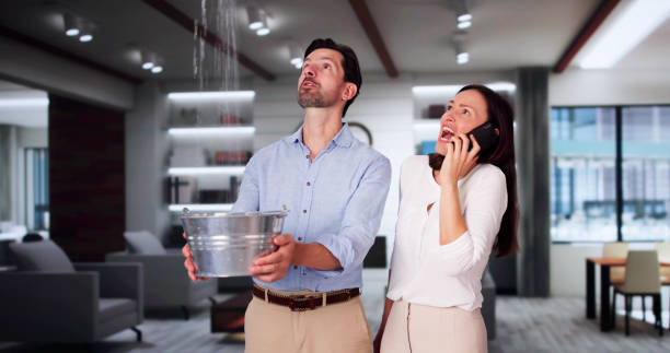 Best Carpet water damage restoration  in Holly Springs, NC